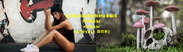 МДПВ Нягань