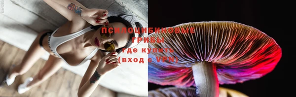 герыч Няндома