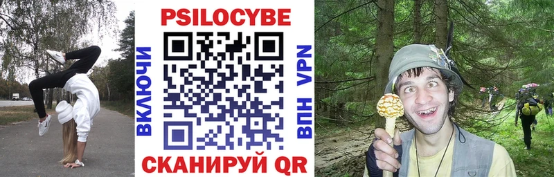 Галлюциногенные грибы Cubensis  Ак-Довурак 